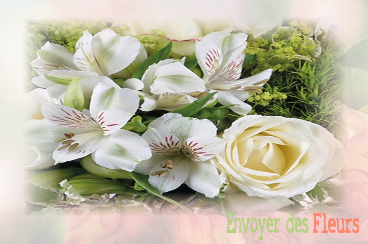 envoyer des fleurs à à VILLE-SUR-JARNIOUX